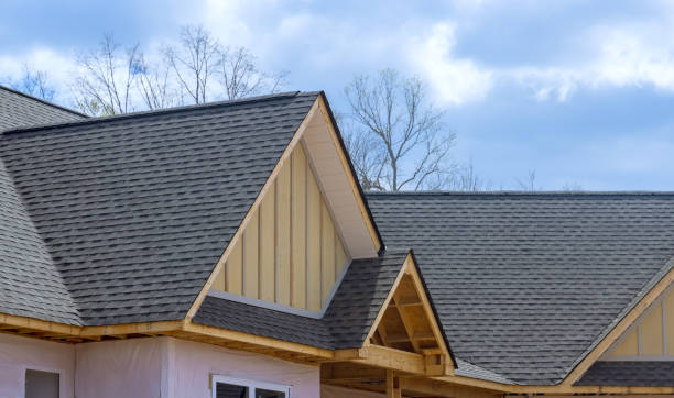 Best Gutter Installation and Repair  in Buckhead, GA